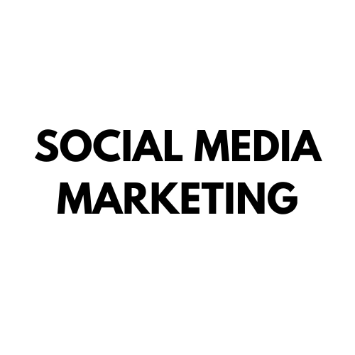 social media management services provided by saahil best freelance digital marketing expert in kannur